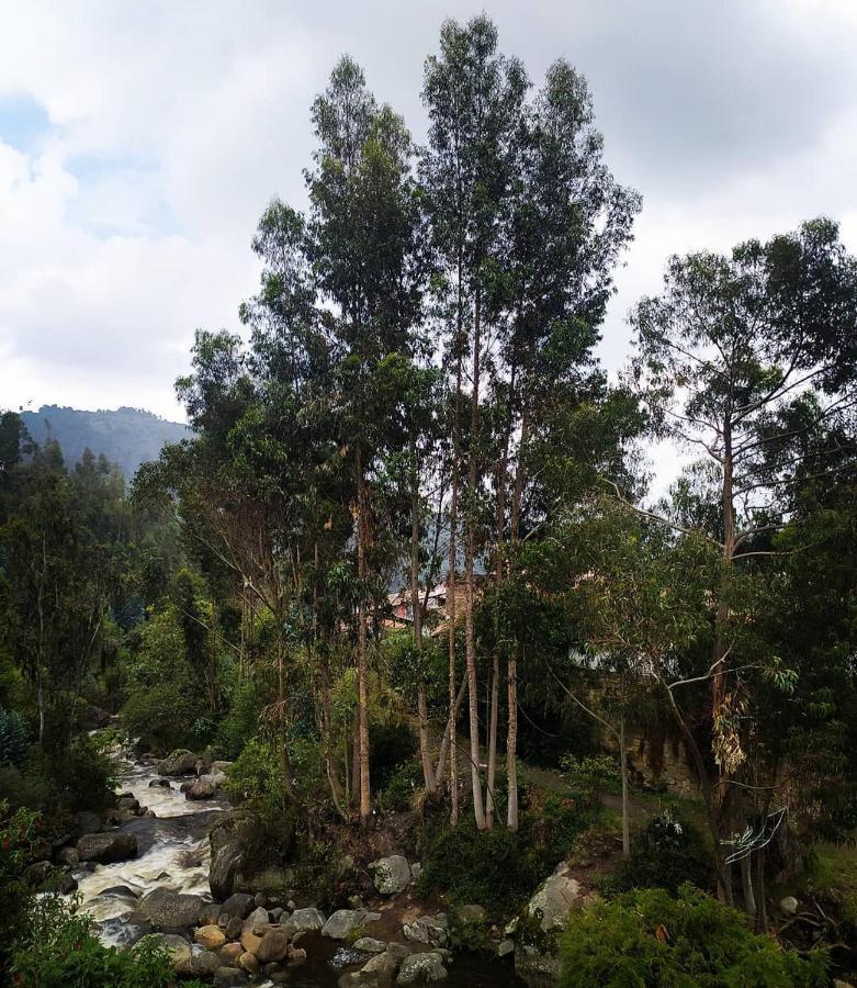 Hotel Calicanto Real Cafe Museo مونغوي المظهر الخارجي الصورة